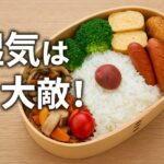 湿気は大敵！お弁当の“傷み”を防ぐ食中毒対策＆おすすめグッズ【2025年最新版】