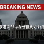 小泉進次郎はなぜ批判される？進次郎構文と炎上発言、学歴・大学・家族構成を解説
