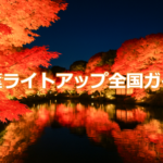 紅葉ライトアップ全国ガイドのアイキャッチ画像（夜の池に映るライトアップ紅葉の風景）