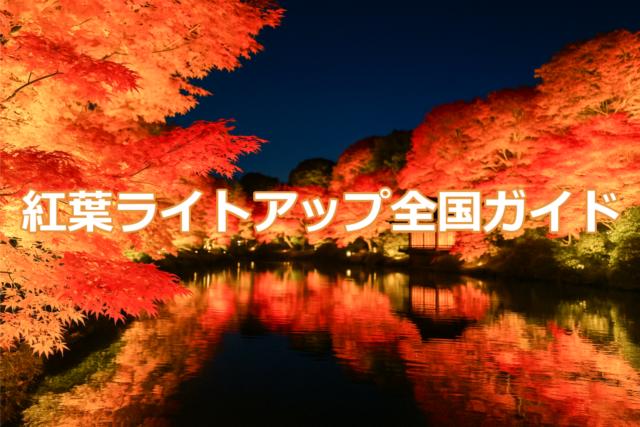 紅葉ライトアップ全国ガイドのアイキャッチ画像（夜の池に映るライトアップ紅葉の風景）