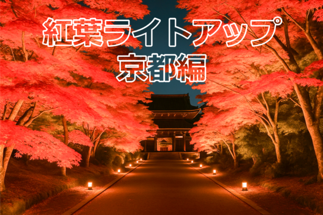 夜の京都寺院でライトアップされた紅葉の参道
