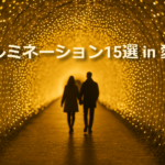 光のトンネルが続く幻想的な冬のイルミネーション風景