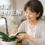 胡蝶蘭の花後管理をする女性|葉を拭いて世話する様子