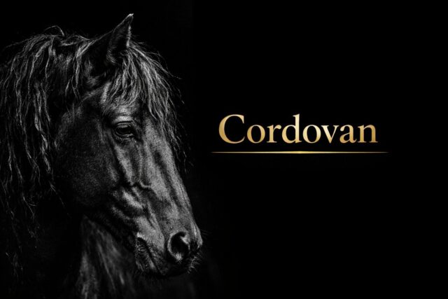 コードバンを象徴する黒馬の横顔にゴールド文字を合わせた高級レザーギフト記事用アイキャッチ