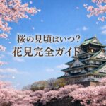 大阪城と満開の桜を背景にした花見完全ガイドのアイキャッチ画像