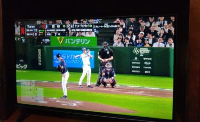 WBC日本戦
