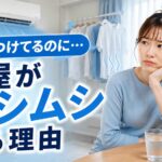 ドライつけてるのに部屋がムシムシして困っている女性とエアコン・サーキュレーターのイメージ