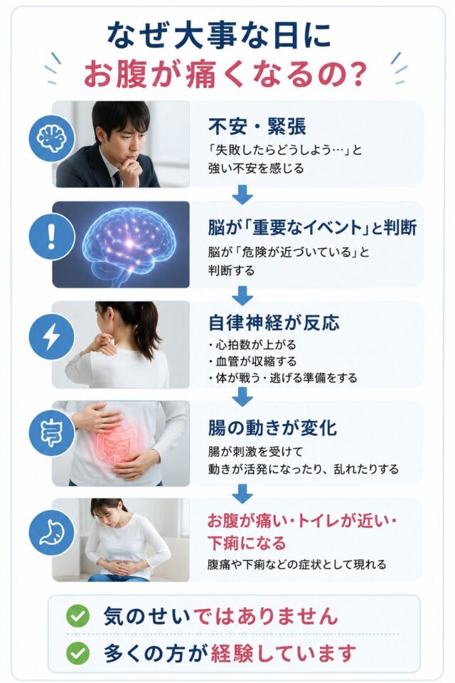 なぜ大事な日にお腹が痛くなるのかの図表