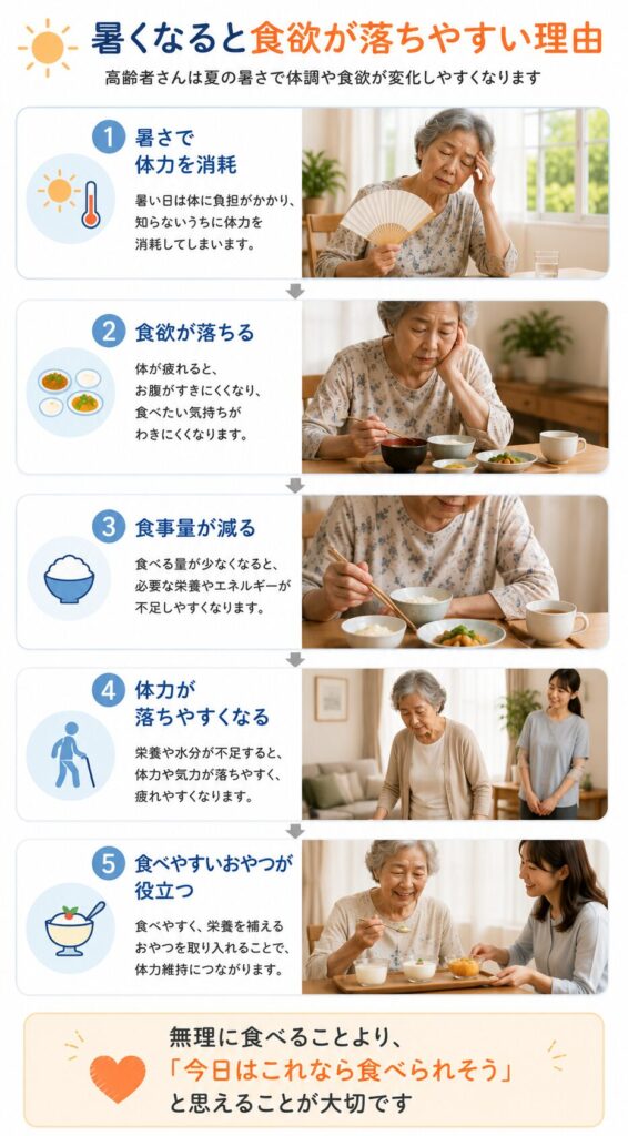 暑くなると食欲が落ちやすい理由