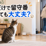 猫だけでお留守番