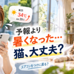 予想より気温が上昇し家にいる飼い猫を心配する女性