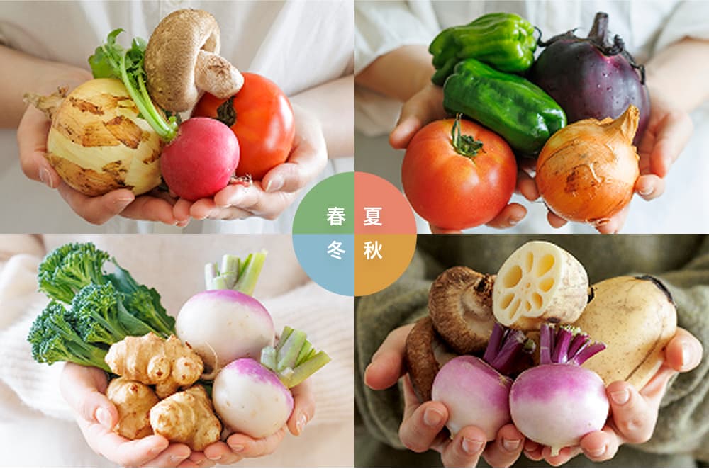 旬の野菜が届く